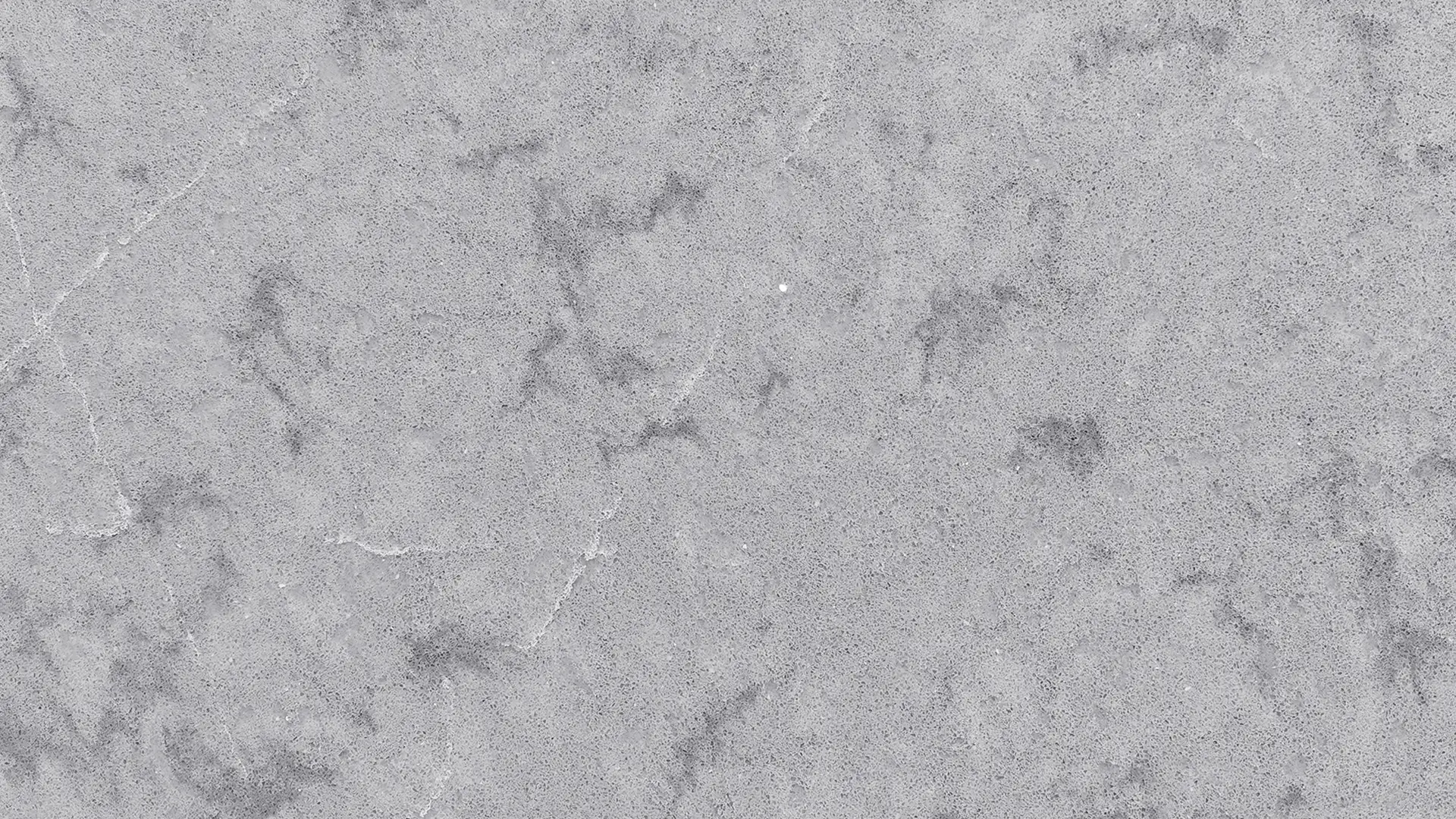Daintree Gray